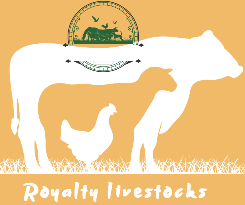 Royalti Livestocks